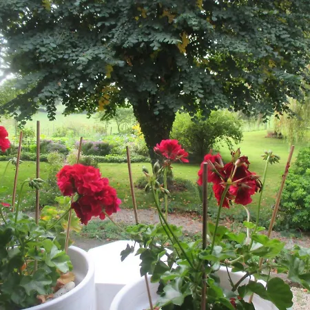 Bed & Breakfast La Maison Pres Du Ruisseau Jaune *